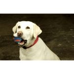 CHUCKIT-Ultra-Squeaker-Sipolos-Labda-L