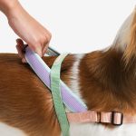 ZEE.DOG Softer Walk Peach (M)