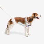 ZEE.DOG Softer Walk Peach (L)