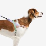 ZEE.DOG Softer Walk Peach (L)