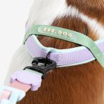 ZEE.DOG Softer Walk Peach (L)
