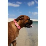 ZEE-DOG-Neopro-Nyakorv-Zold-S