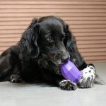 ZEE.DOG Superveggies Padlizsán