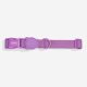 ZEE.DOG Neopro Nyakörv Ultra Violet (M)