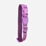 ZEE.DOG Neopro Nyakörv Ultra Violet (M)