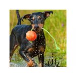 LIKER 9 Lumi Zsinóros Labda