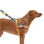 ZEE.DOG Softer Walk Voyage (L)