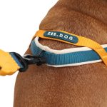 ZEE.DOG Softer Walk Voyage (L)