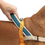 ZEE.DOG Softer Walk Voyage (L)