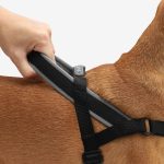 ZEE.DOG Gotham Softer Walk (M)