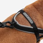 ZEE.DOG Gotham Softer Walk (M)