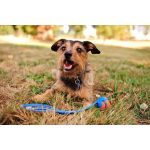 CHUCKIT-Sport-M-hajito-45-cm