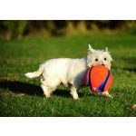 CHUCKIT-Kick-Fetch-Labda-S