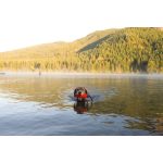 CHUCKIT-Amphibious-Bumper-M
