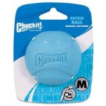 CHUCKIT-Fetch-Labda-M
