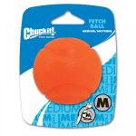 CHUCKIT-Fetch-Labda-M