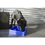 EAT SLOW LIVE LONGER Star Habzsolásgátló Tál Kék (L)