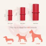 KONG Dental Stick (S)