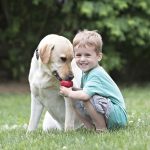 KONG Classic Harang Piros (M)