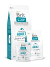 BRIT CARE Grain-free Adult Salmon & Potato (12 kg) BRIT CARE Grain-free Adult Salmon & Potato (12 kg)