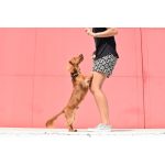 ZEE-DOG-Phantom-Nyakorv-S