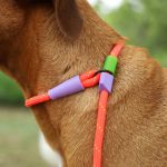 ZEE--DOG-Slip-on-Leash-Retriever-Poraz