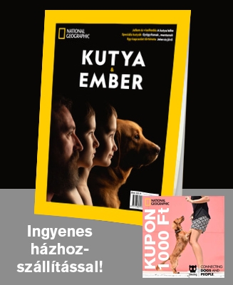 National Geographic kutyás különszám